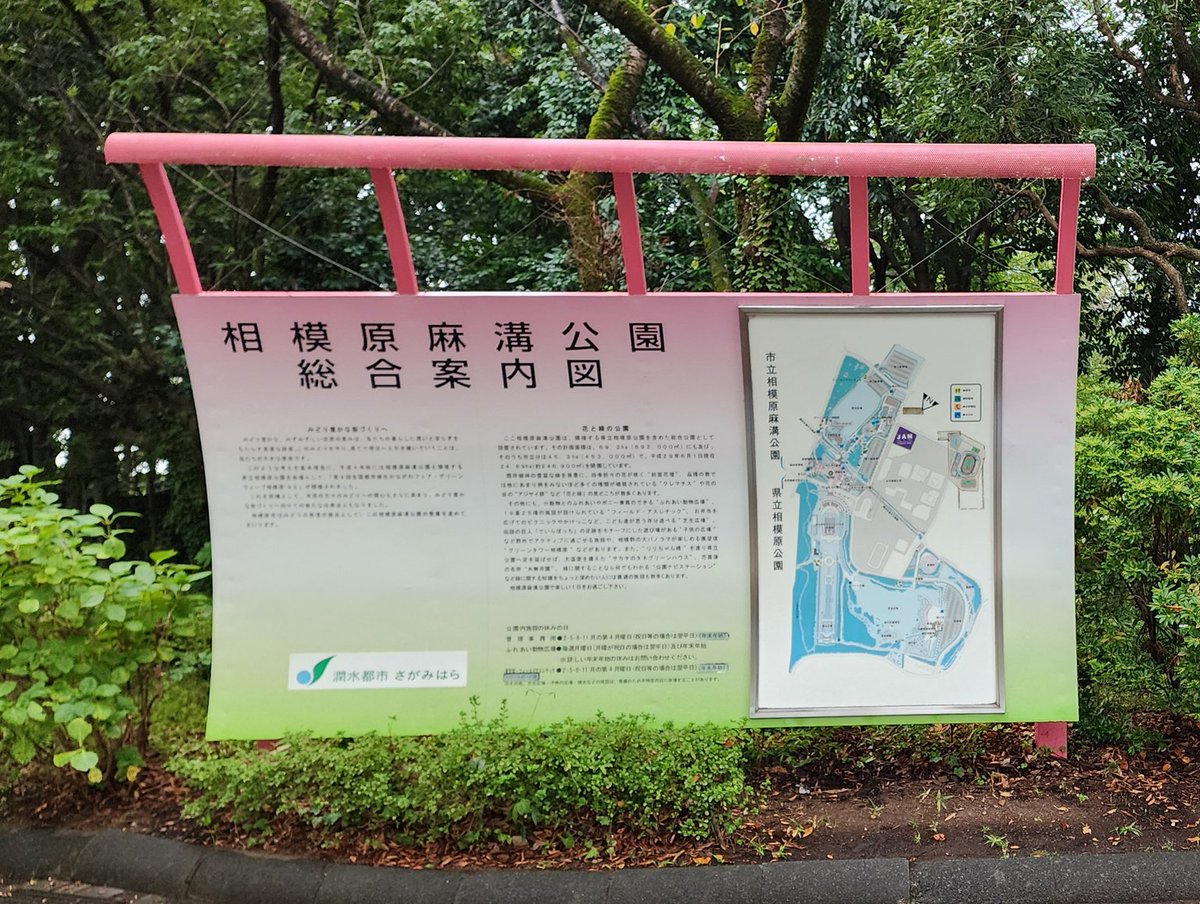 フォル tweet media
