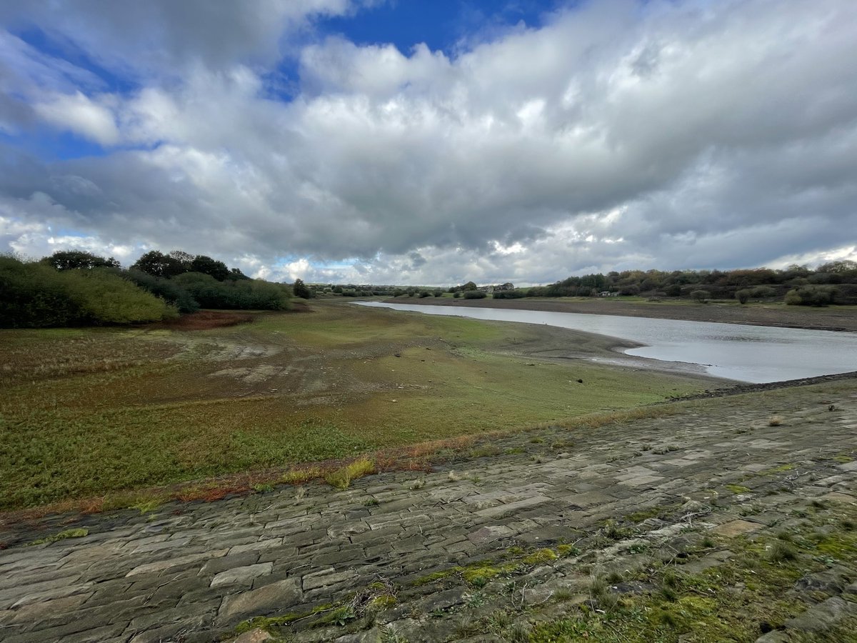 Matt (@w82matt) on Twitter photo 29sp around a damp Royd Moor and Scout Dike. Inc Little Owl, Linnet, GCGrebe and Little Grebe. C70 Cormorant at what is left of Scout Dike! <a href="/Barnsleybsg/">Barnsley Birders</a> <a href="/_BTO/">BTO</a> <a href="/Natures_Voice/">RSPB</a> 29sp around a damp Royd Moor and Scout Dike. Inc Little Owl, Linnet, GCGrebe and Little Grebe. C70 Cormorant at what is left of Scout Dike! <a href="/Barnsleybsg/">Barnsley Birders</a> <a href="/_BTO/">BTO</a> <a href="/Natures_Voice/">RSPB</a>