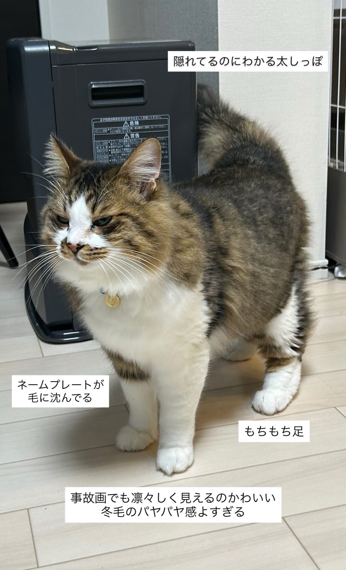 岡なっくん (@ncchilloutboy) / X