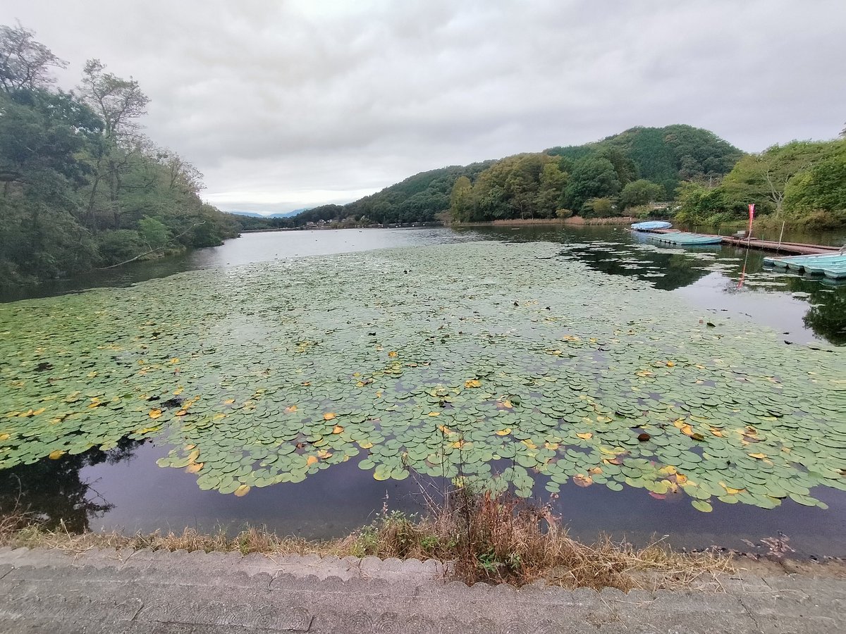 静かな湖 かめ吉 on X