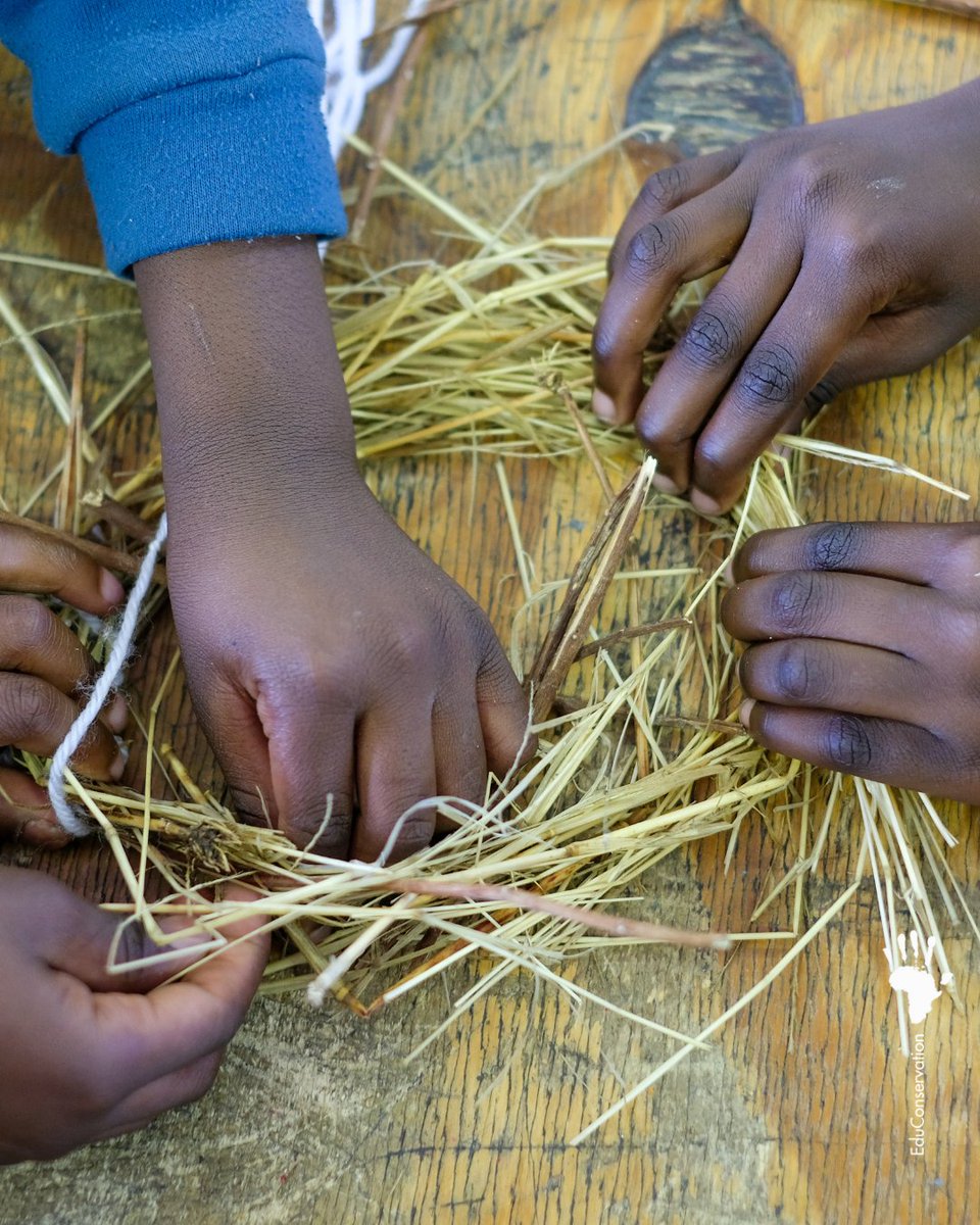 EduConservation's tweet photo. Pendant la Phase de Révision, notre équipe d'expert(e)s examinera et affinera toutes les leçons et ressources EduConservation destinées au premier cycle du primaire en Namibie https://t.co/Iat60XV5fm