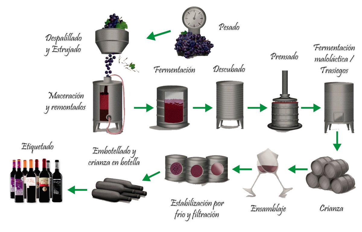 El vino tinto es el resultado de un proceso apasionante donde la ciencia, la técnica y la sensibilidad se encuentran. Cada botella guarda la historia de su viñedo, de las decisiones del enólogo y del tiempo que le dio forma. Segui leyendo en ...
vinosypasiones.com/2025/10/21/ela…