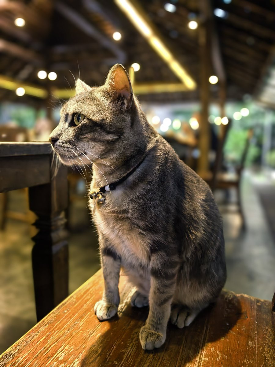 arr_ant's tweet image. Cool .....