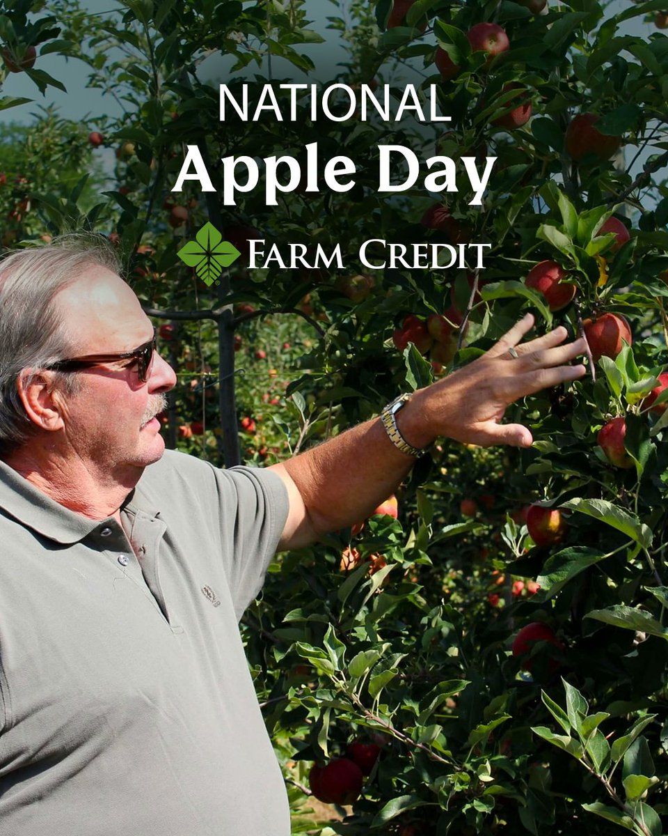 On #NationalAppleDay, we celebrate apple producers who provide us with this delicious autumn fruit! 🍎