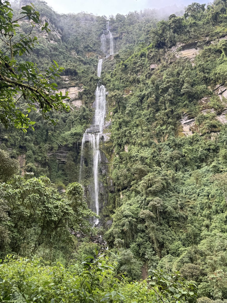 Ed Baker tweet media