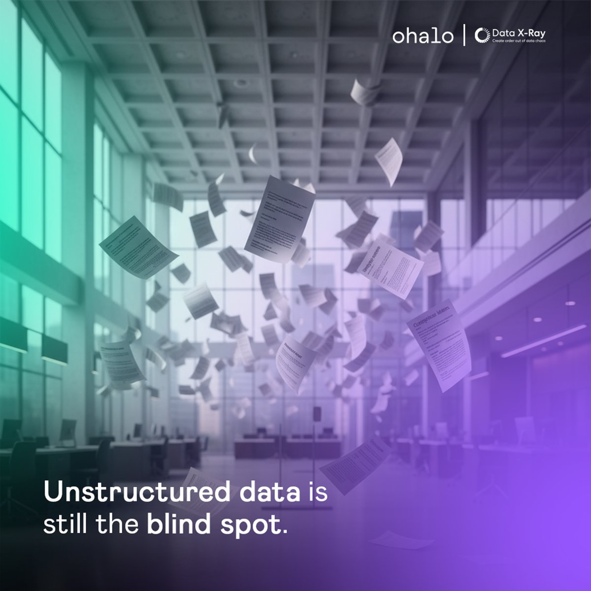 Ohalo Limited tweet media