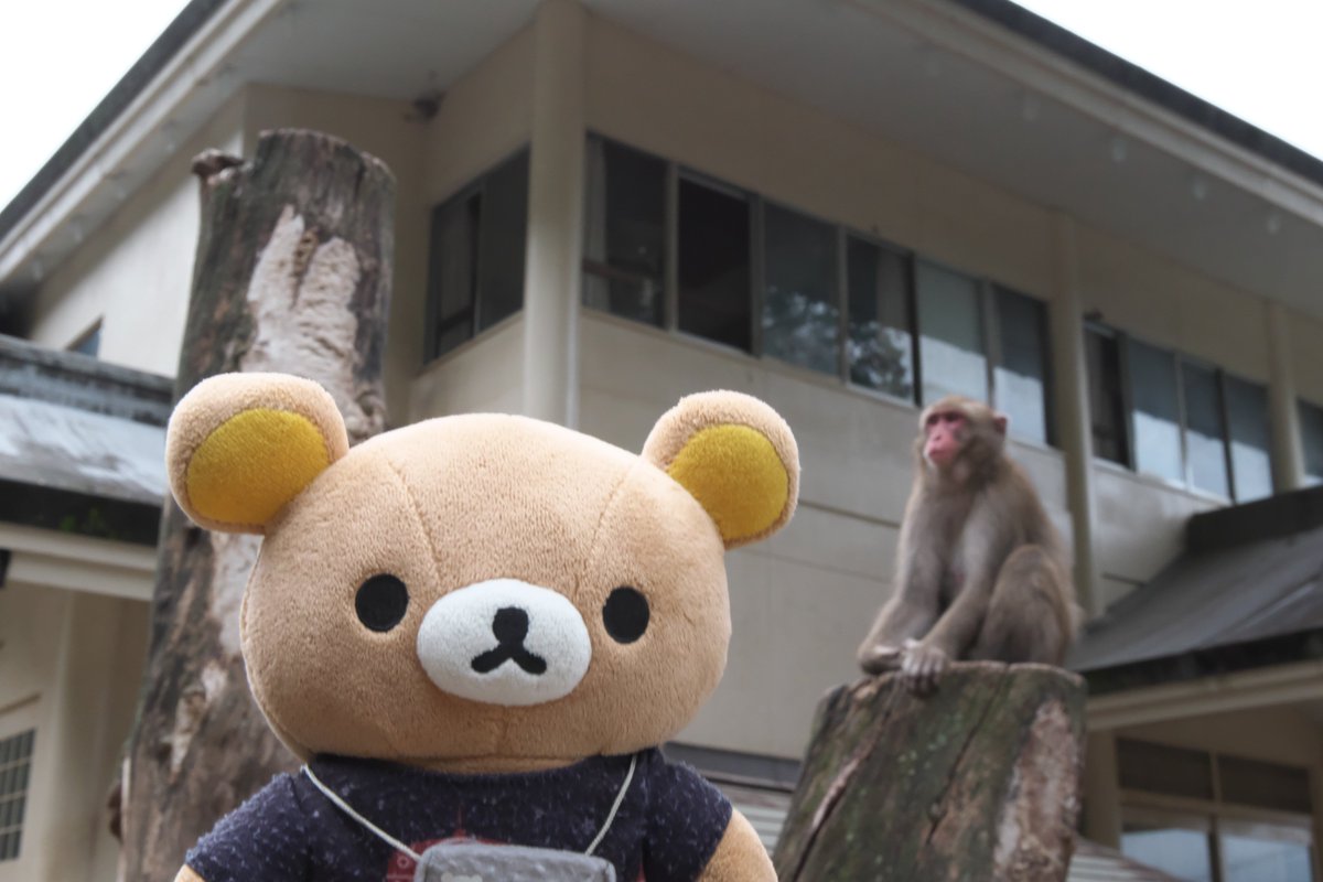 おサルさん お猿さん
