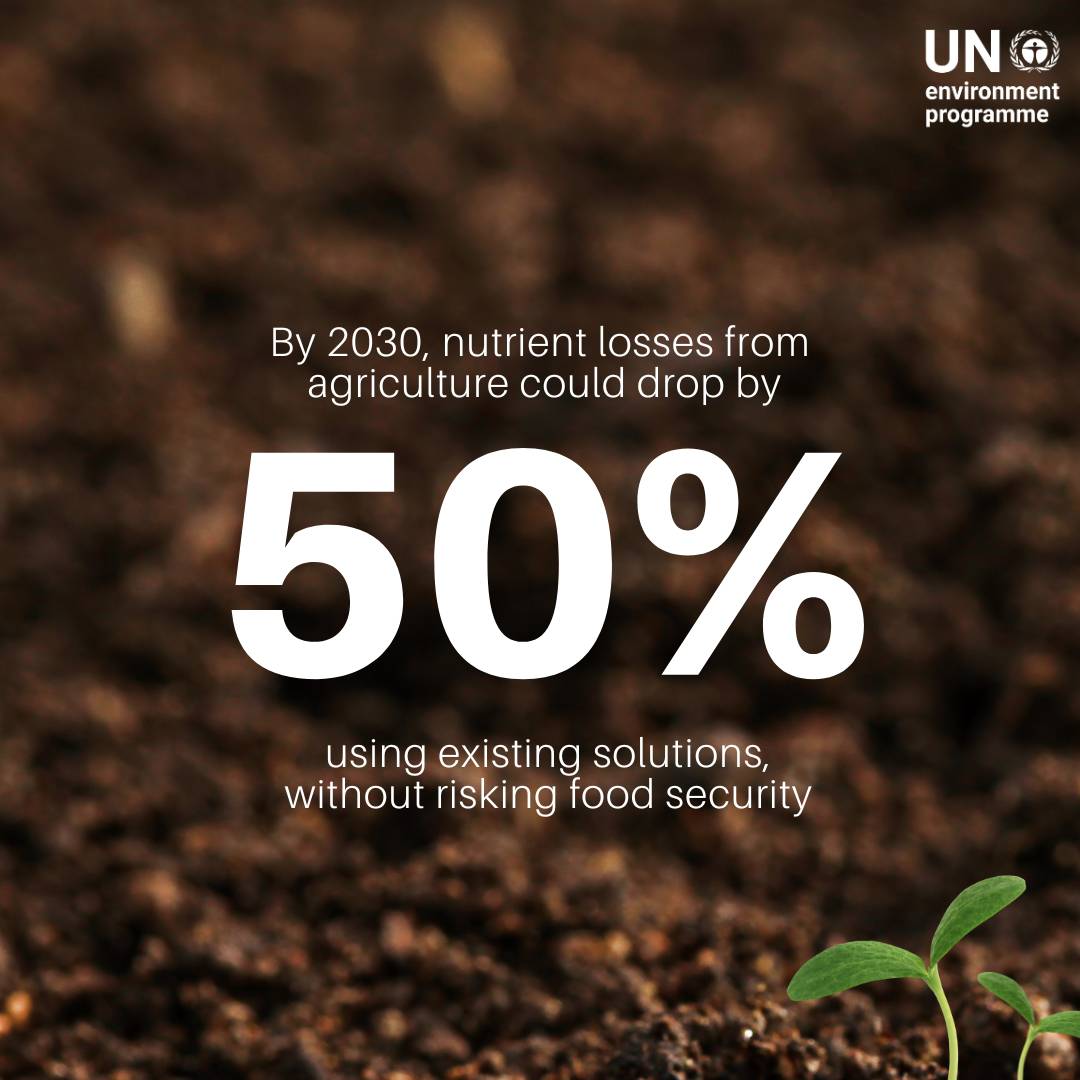 UNEP's tweet image. Excess nutrients → pollution and greenhouse gases.

Insufficient nutrients → poor crop yields.

Achieving balance is essential #ForPeopleForPlanet.
Get the facts on sustainable nutrient management and the triple planetary crisis: unep.org/facts-about-su…
