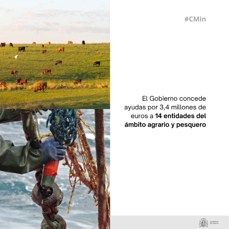 gobmapa's tweet photo. Hoy, en #CMin aprobamos:
✅ Proyecto de Ley de Control e Inspección de la Pesca Marítima
✅ Ayudas a agricultores y ganaderos afectados por incendios
✅ 3,4 M€ para 14 entidades agrarias y pesqueras
✅ Medidas para suelos agrarios sostenibles

🔽