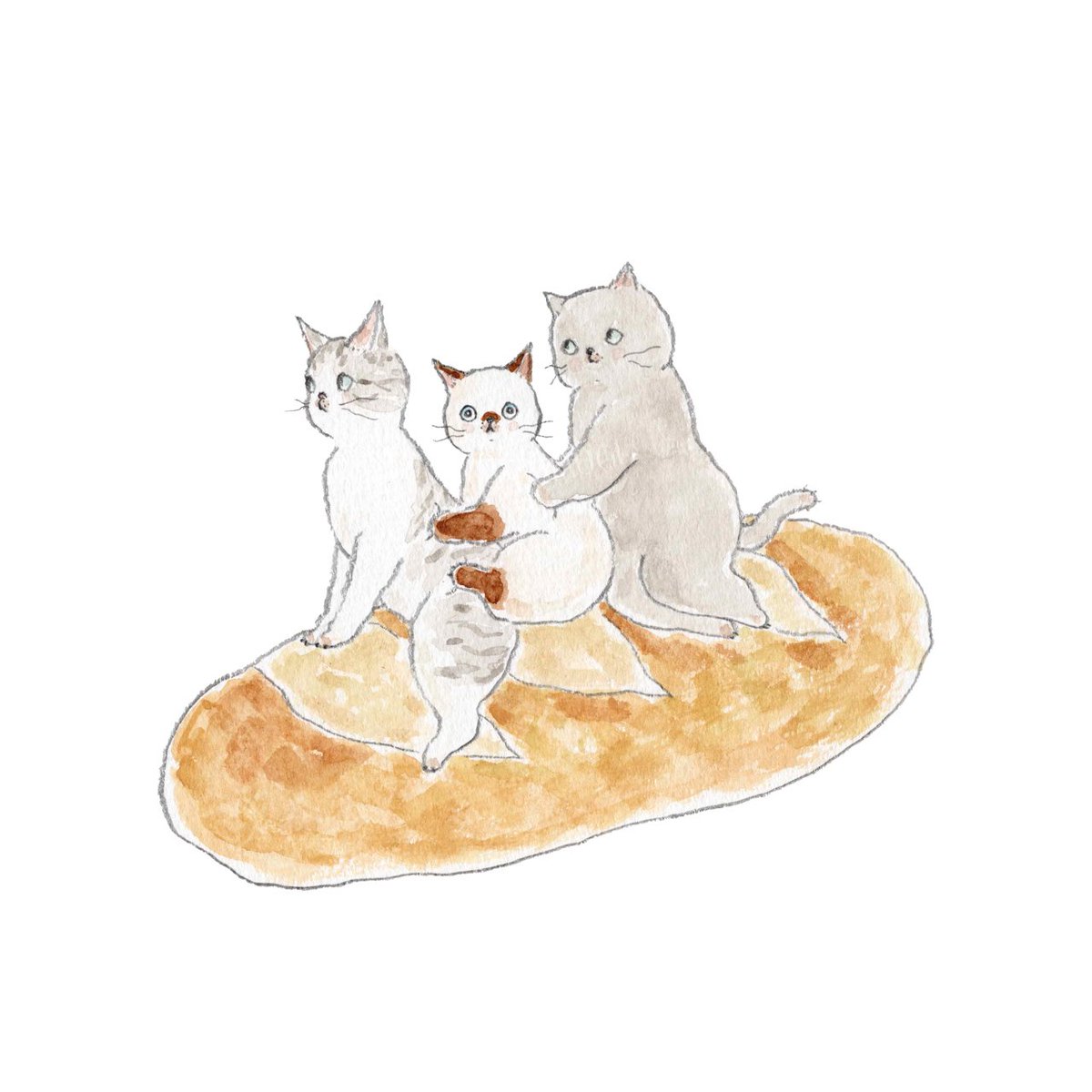 TOCOROCOMUGI トコロコムギ (@tocorocomugi) / Posts / X