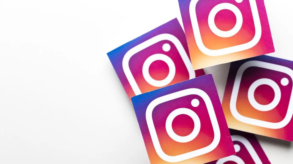 SteveandDogs's tweet photo. How to Market to Millennials Using Instagram https://t.co/4DWadHGdUl https://t.co/aMBWQcipXi