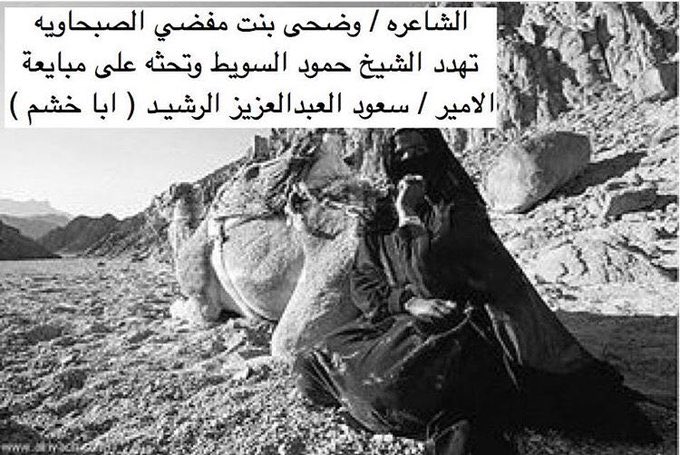 الطنايا tweet media