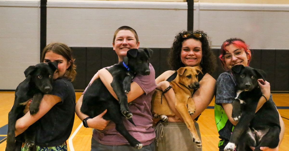 Feeling mid-semester stress? Unwind with Puppy Yoga on November 18 at 10 a.m. in the HPEC (Building 29)! Join the Counseling Center, a local rescue, and Doggy Noses &amp; Yoga Poses for a relaxing wellness session. Questions? Email counselingservices@ocean.edu. #MyOcean
