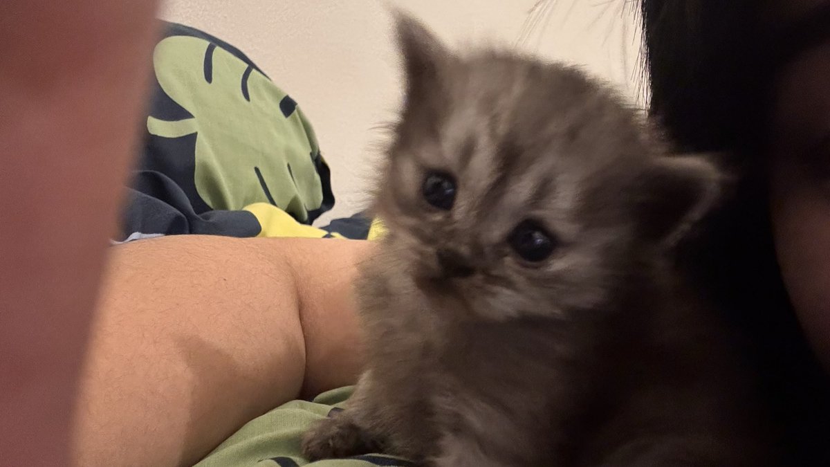 ellchillguy's tweet photo. miles wants to say hi https://t.co/J5oXlTeAw1