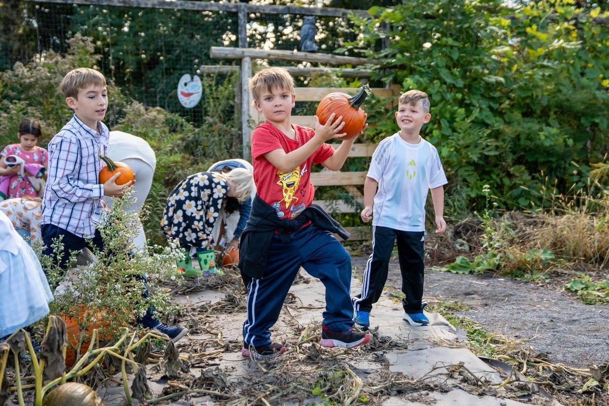 The Harley School tweet media