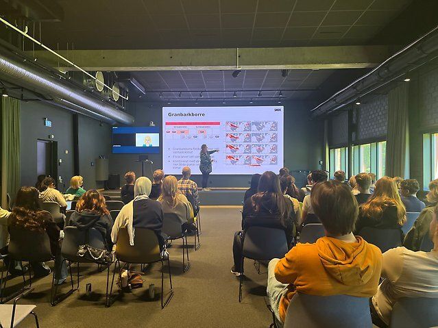 AI4PEX's tweet image. Amazing time at Researchers’ Night at SMHI 🎉 

It was inspiring to see such strong interest from enthusiastic people who stopped by to learn about #AI4PEX modeling, AI, data and clouds☁️🌊🌿
Great collaboration with @optimESM_eu, TipESM &amp;amp; Climateurope2💡
buff.ly/0ysJ0EC