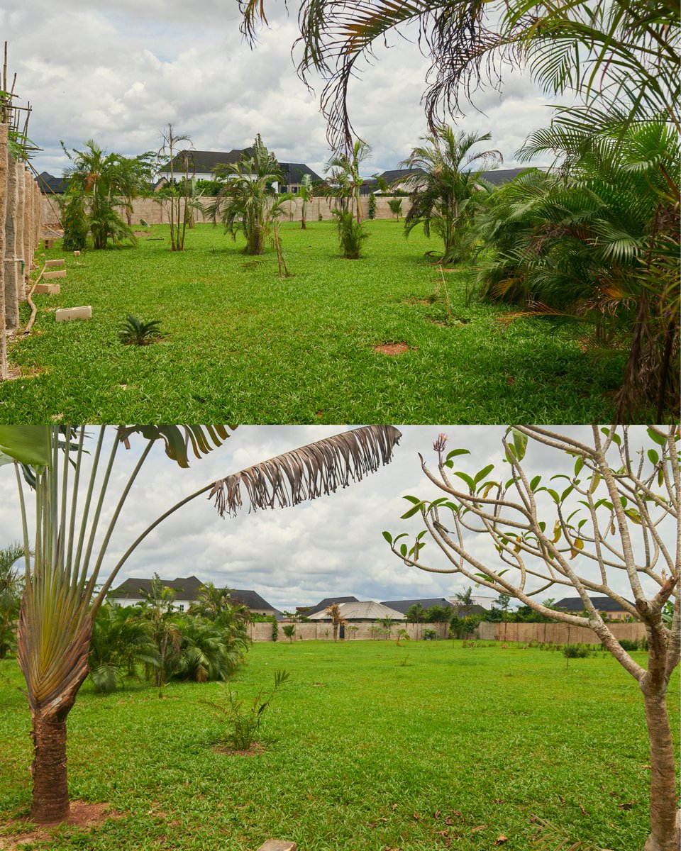 blackmusefest's tweet photo. Rising at its centre is a bamboo architectural masterpiece, the Ázágbà Pavilion, designed by Architect-in-Residence James Inedu George. The edifice also incorporates stained glass windows by Victor Ehikhamenor. 

Swipe right for more details! https://t.co/7XQzTHjiGY