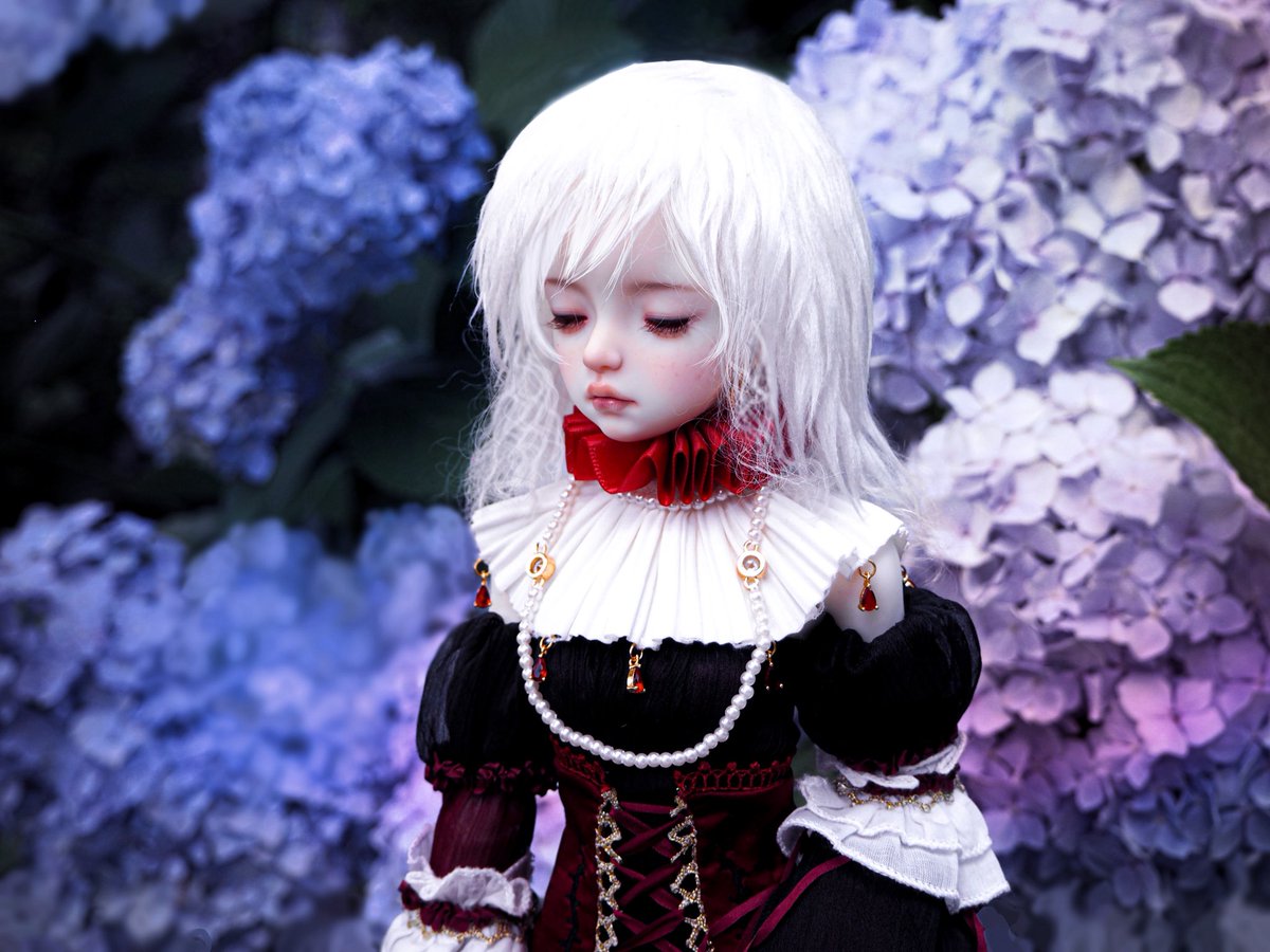 nanamedoll's tweet image. 写真の整理をしてるので、暫く既出写真が続きます📸
 #ドル沼CHフォトコン2025