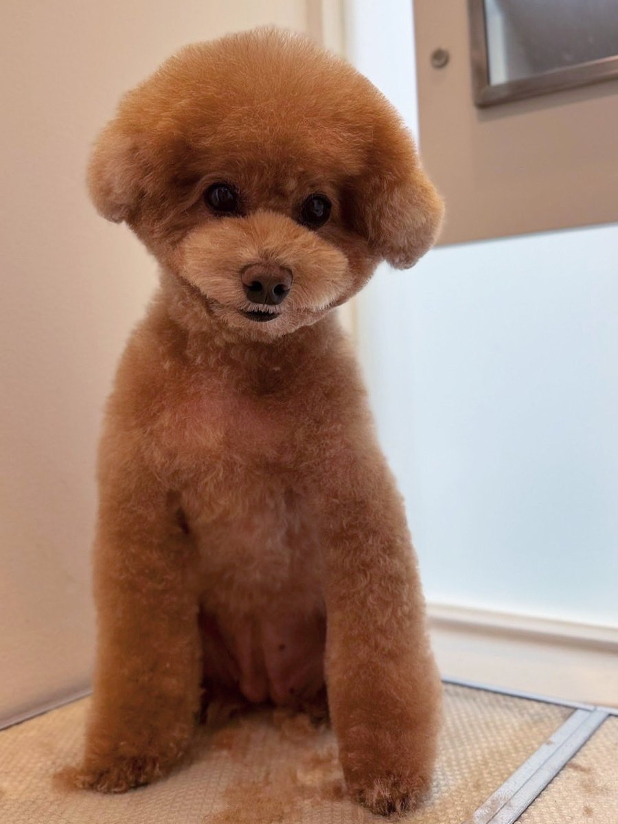 八木玲於♡ページ(*^ω^*) drawing #illustration