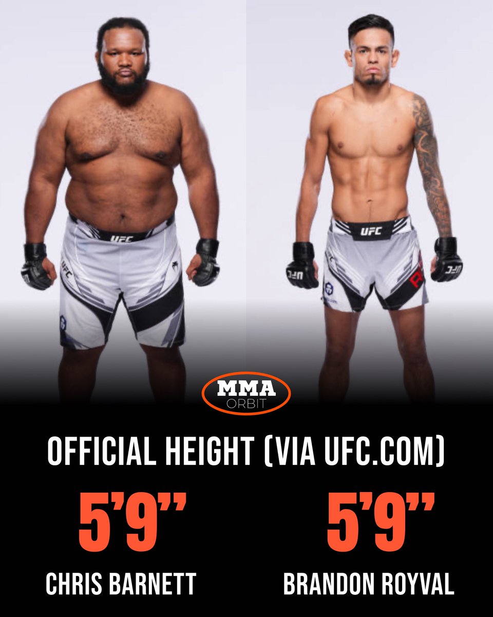 MMA Orbit tweet media