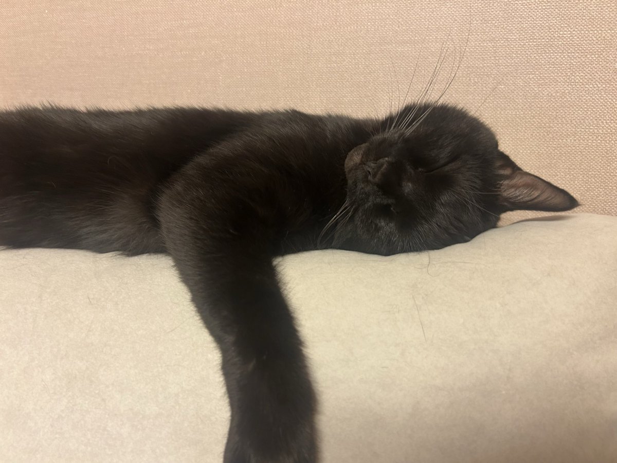 래오 진짜 잘자네…