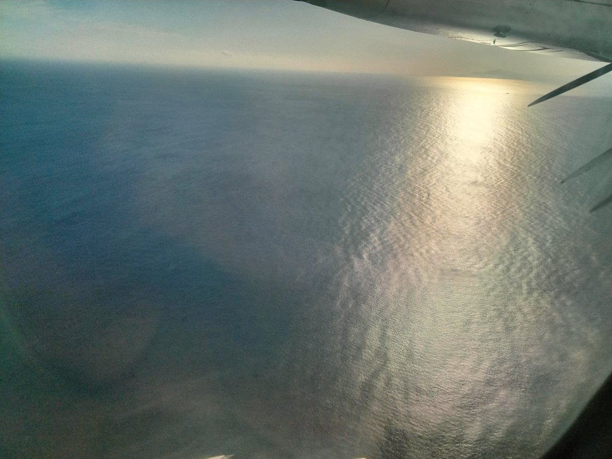 🟦⬜️

#lovefighters