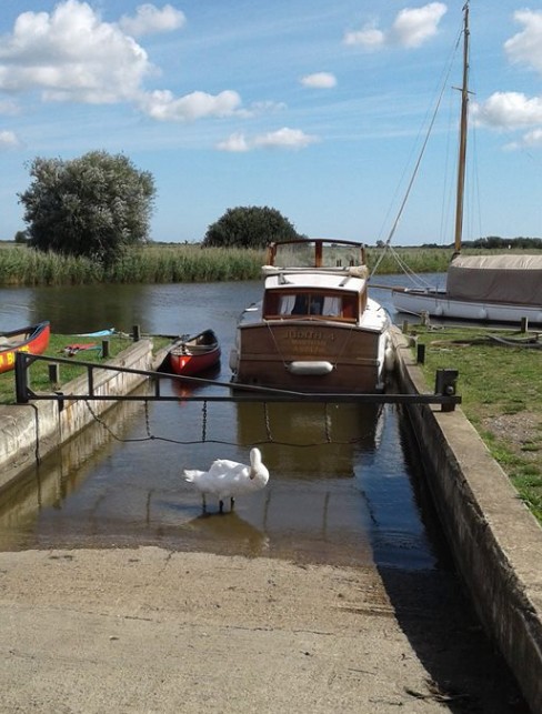 🎣 Enjoy fishing on the Broads?
Our Half-Year Slip Key gives you:
✅ 24/7 slipway access
✅ Car &amp; trailer parking whilst here!
✅ Freedom to enjoy the water whenever you like!
Keys are proving very popular this year – call 01493 740249 or email info@marthamboats.com to get yours!