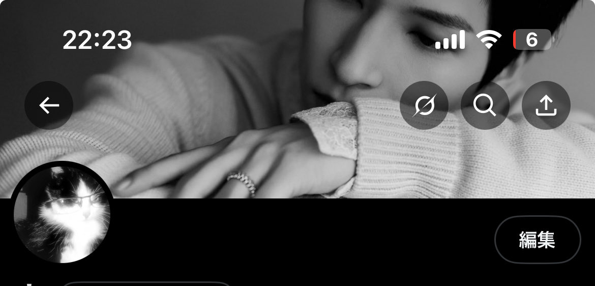 私の表(ここも表ですが)ヘッダーとアイコン、アイコンの猫ちゃんをすーがツンツンってしてるみたいに設定できてかわいいーーーーになってる(自画自賛)充電6パーなの早く充電して)