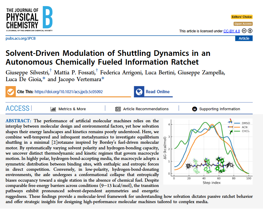 BtBsUNIMIB's tweet photo. Solvent-Driven Modulation of Shuttling Dynamics in an Autonomous Chemically Fueled Information Ratchet | The Journal of Physical Chemistry B. A  #BtBs and co-authors publication. #BtBsPub #BtBsUNIMIB @unimib   https://t.co/oK4yMSaX4V https://t.co/AQpLIUS7Cx
