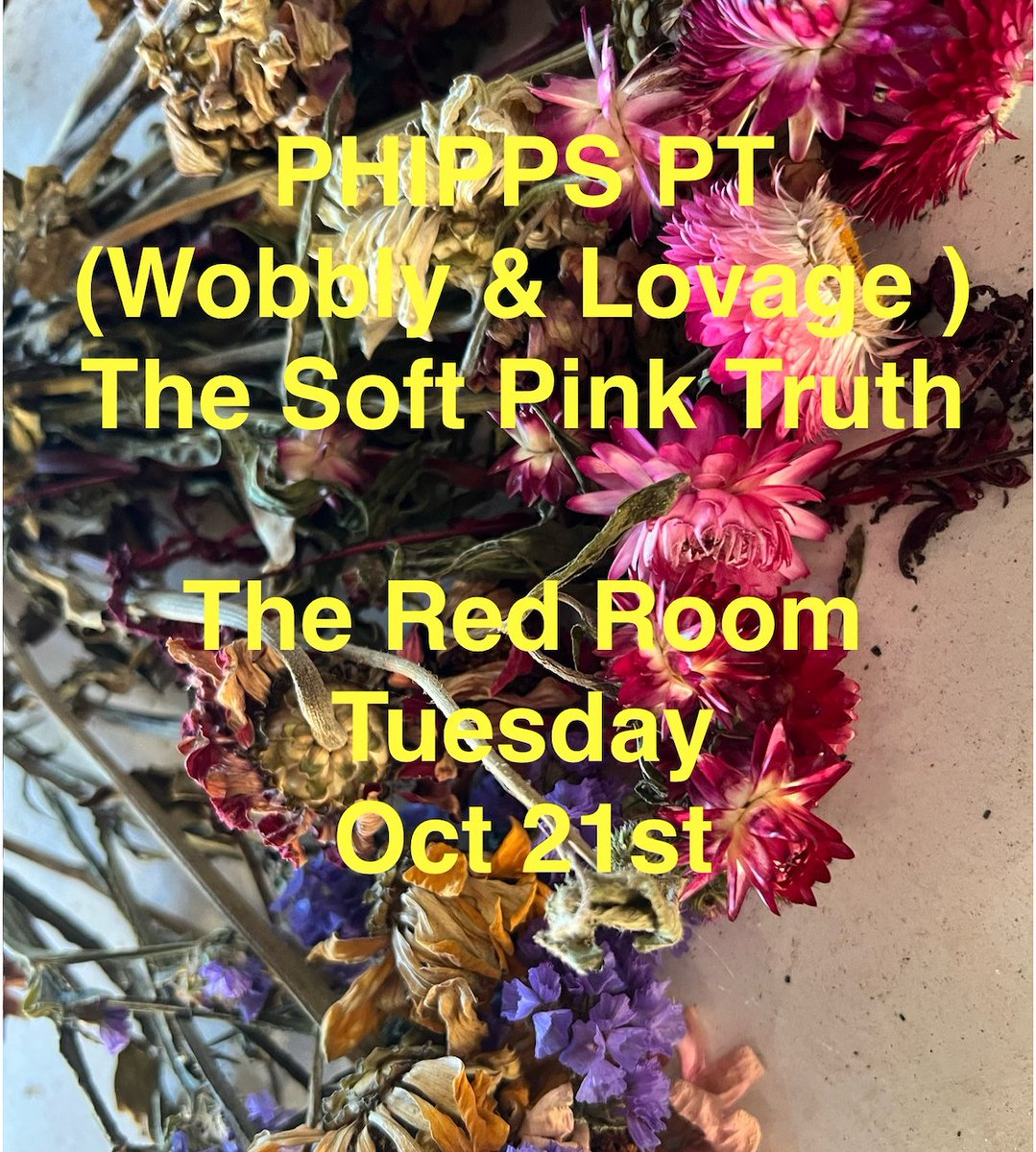 The Soft Pink Truth (@xSoftPinkTruthx) / Posts / X