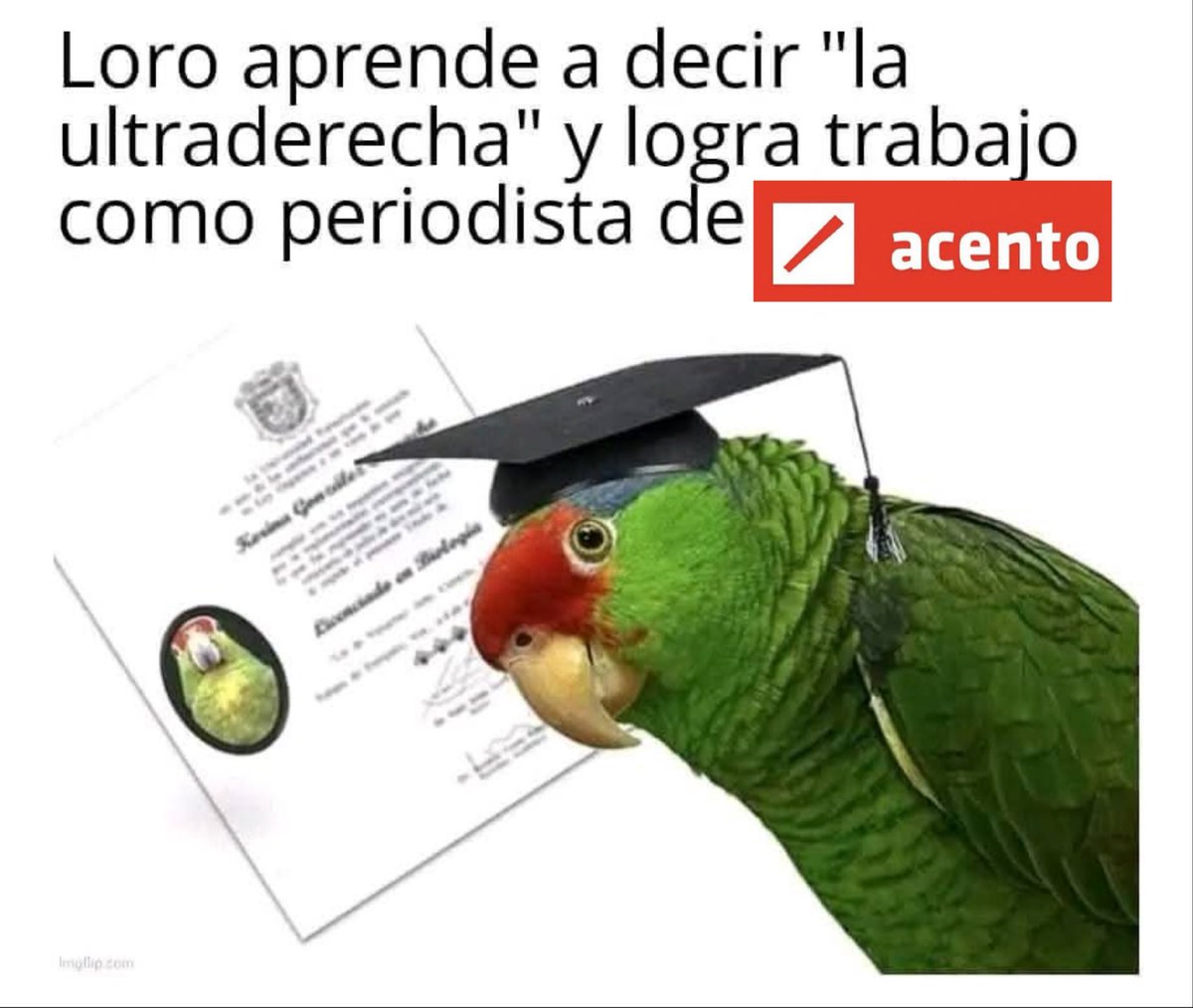 🤣🤣🤣🤣🤣🤣
