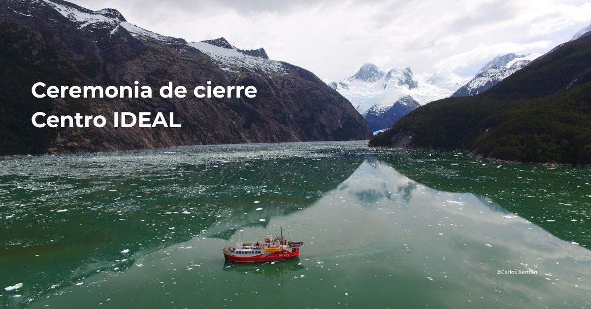 Centro IDEAL tweet media