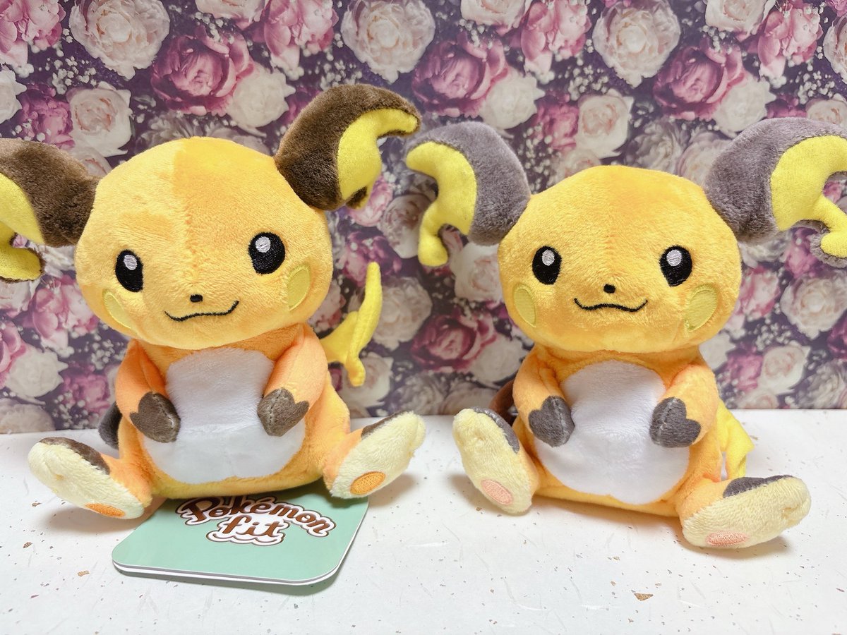 ポケモンfitの足の裏も可愛いから気になった方はお迎えしてくださいね😌
新旧で色が違うのもグッドポイントなわけ👍