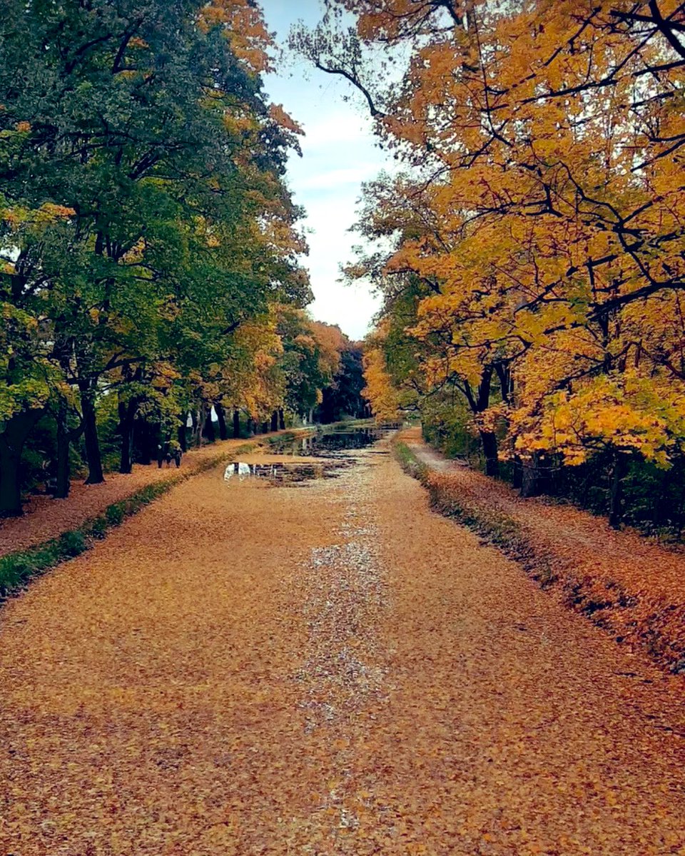 Der Alte Kanal, über und über mit Herbstblättern bedeckt.

Versprochen, das letzte Herbstbild, aber ich kann mich einfach nicht sattsehen und sauge alles in mich auf. 🍁

#schoenesgegendoofes