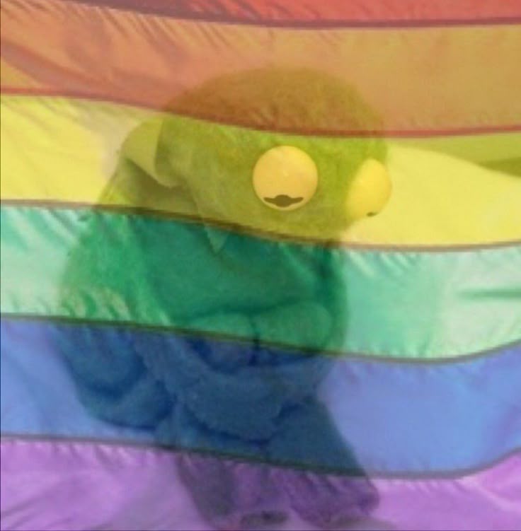 ElMinarca's tweet image. *El parcero que votó por Petro viendo que Petro dijo ayer que los homosexuales son misóginos 🤣