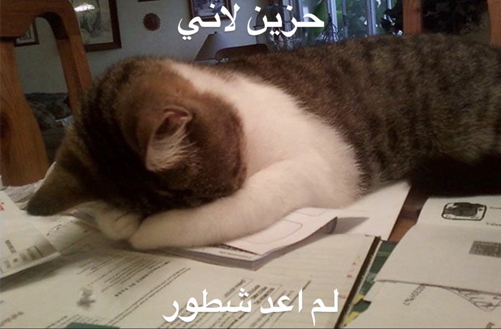 ديّسمبر (@_tlllr) on Twitter photo 