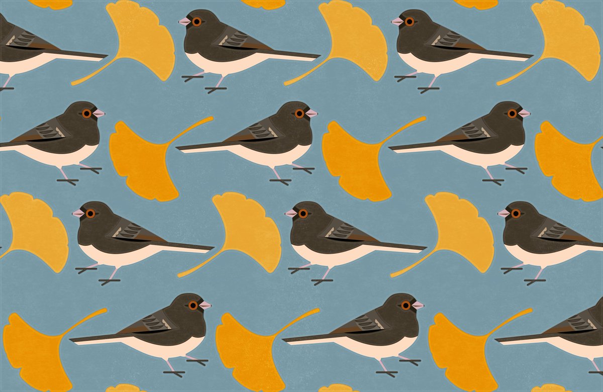 Juncos and ginkgos! 🐦🍂