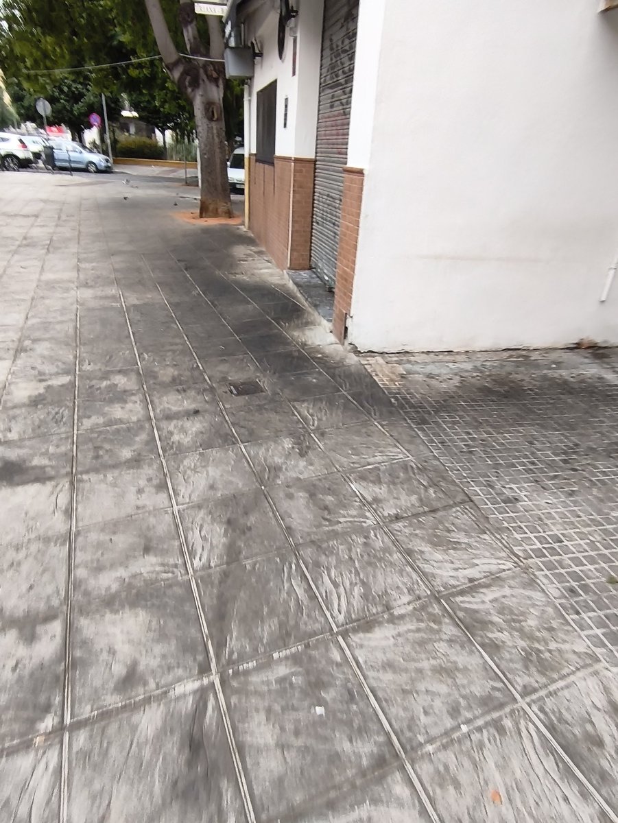 Asi esta Triana vayas por donde vayas, sin excepción, mugre en el acerado, papeleras llenas, papeleras que les falta el recipiente, etcc,la incapacidad de LipaSanz, <a href="/torreglosam/">Manuel Torreglosa</a> y <a href="/eveliarincon/">Evelia Rincón</a> la llorona es más que evidente,Triana no se merece estar asi al regreso de la Trianera