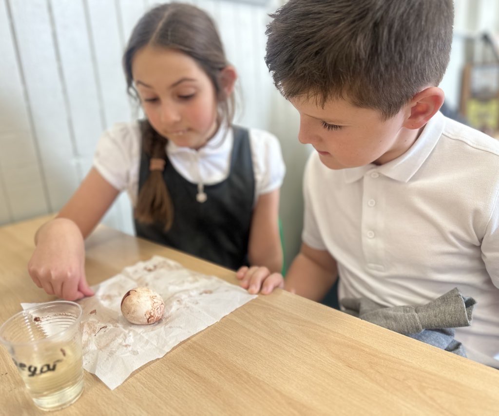 ManorParkSchSM1's tweet image. The results are in! 🥚 Our egg experiment showed that sugary drinks like soda can damage enamel — and even vinegar can cause erosion! 🪥🦷
#weareLEO #MPPAscience