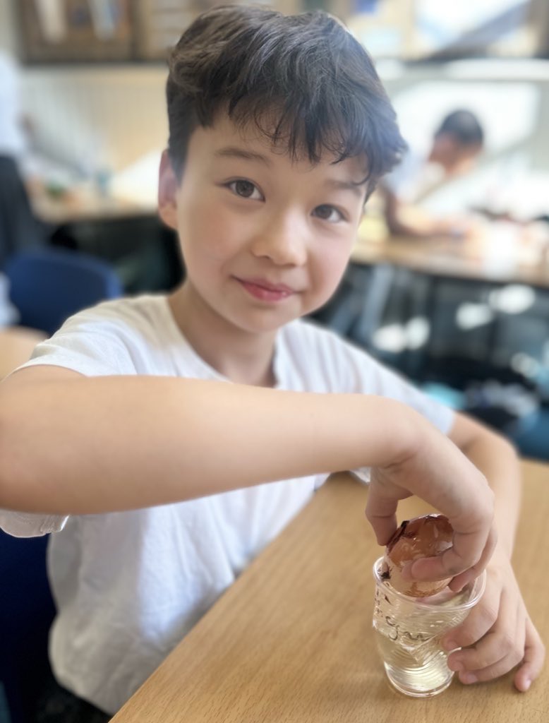 ManorParkSchSM1's tweet image. The results are in! 🥚 Our egg experiment showed that sugary drinks like soda can damage enamel — and even vinegar can cause erosion! 🪥🦷
#weareLEO #MPPAscience