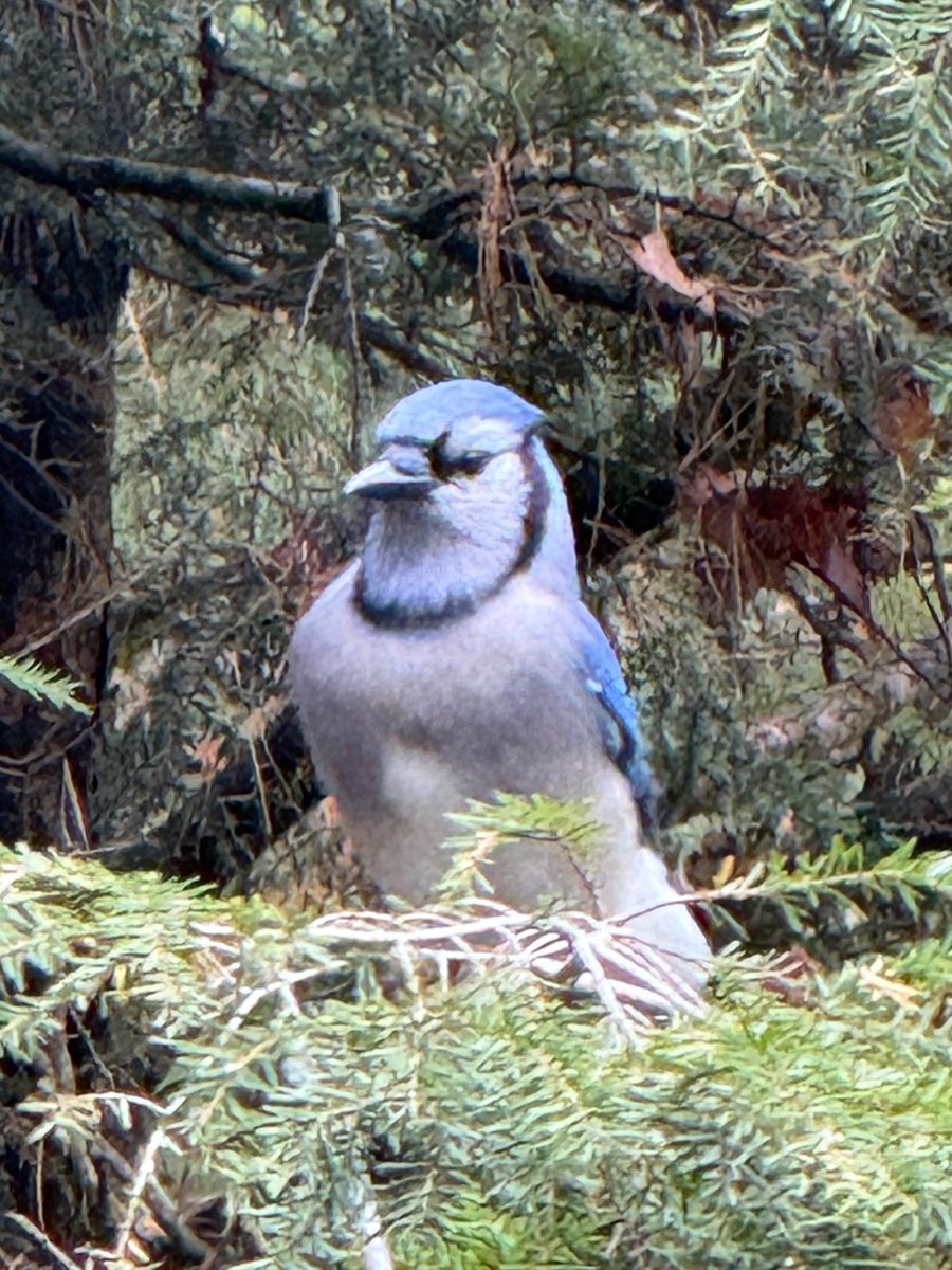 It’s a great day to be a <a href="/BlueJays/">Toronto Blue Jays</a> fan.