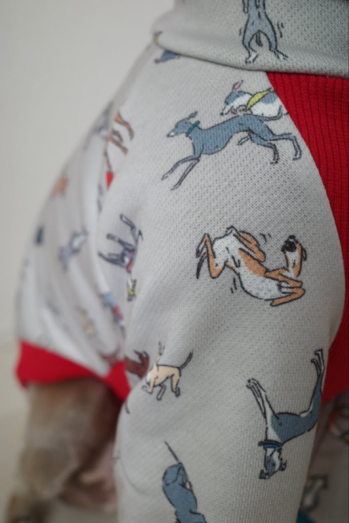 すずかページ 🩰🎠🫧