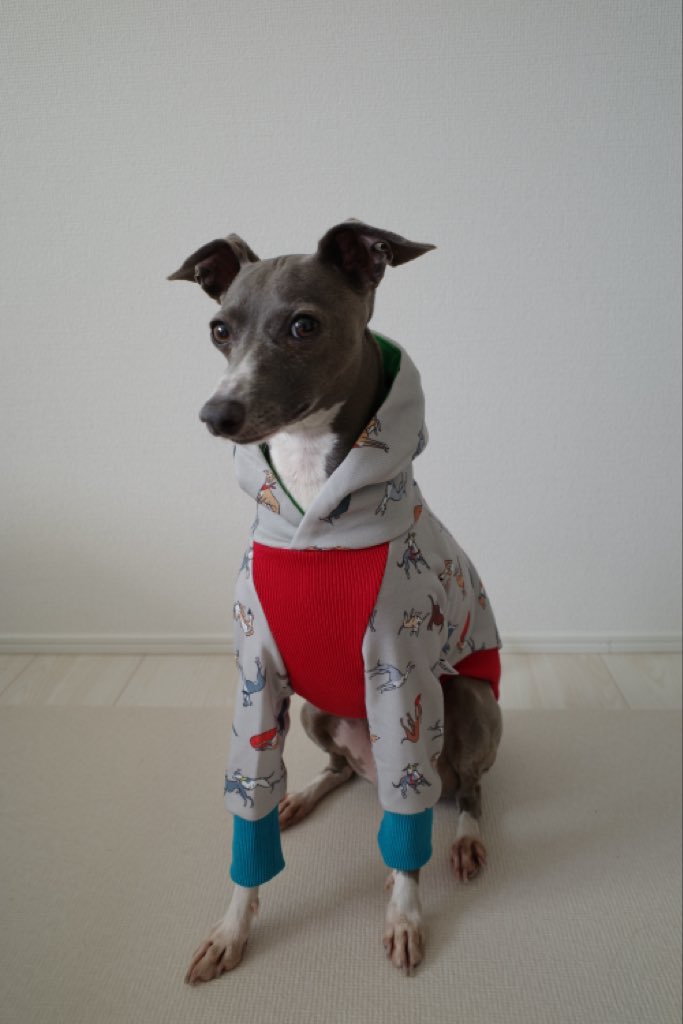 Suzuka (@___801s) / Posts / X