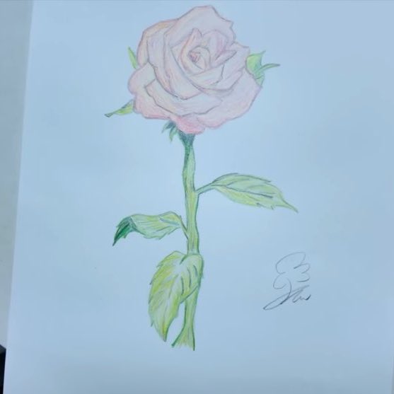 chupchupyd's tweet image. 다따라한것같진않고 참고한것같은데
개웃기다진짜