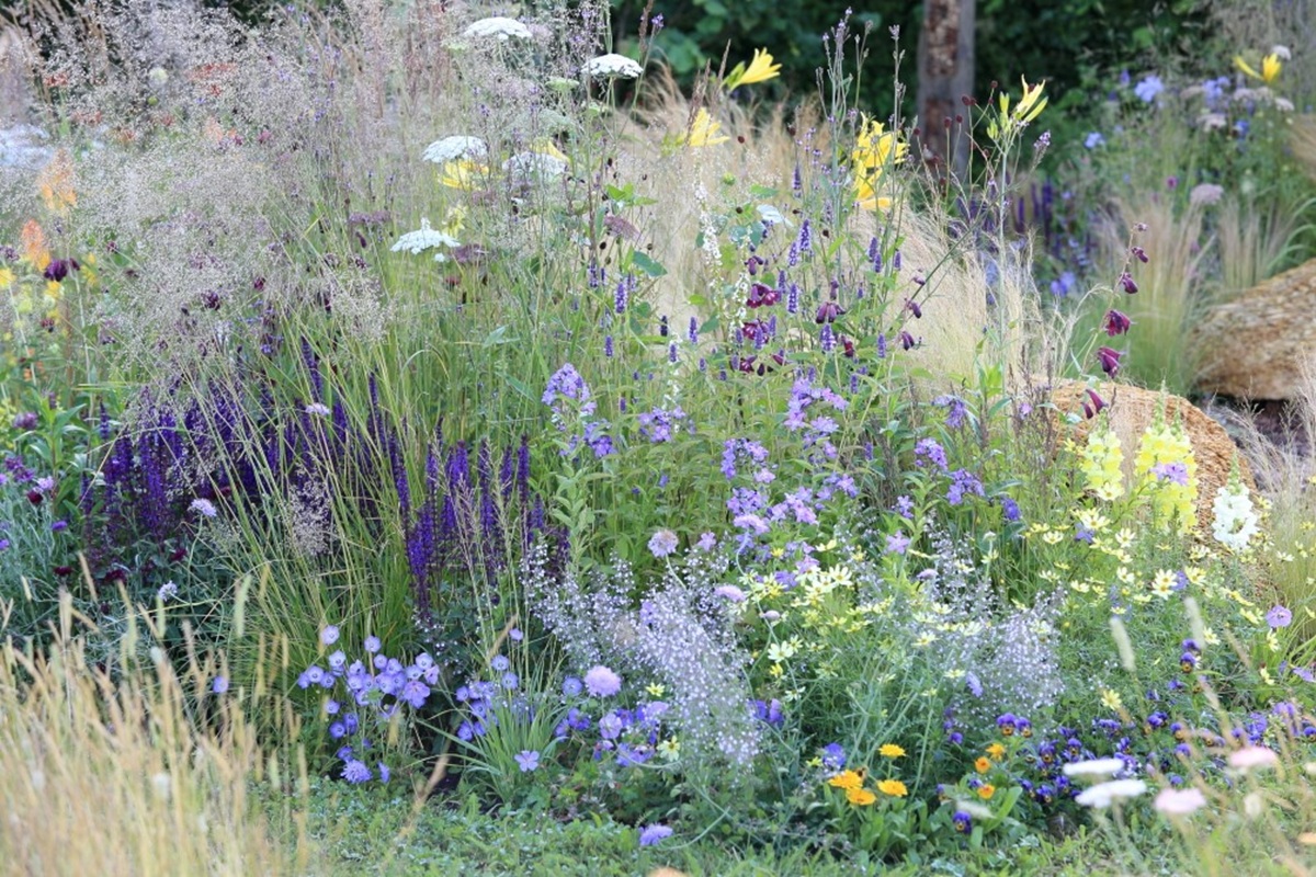 Winterharde citrusvrucht - Tuinworkshops - Alles over bloembollen - Fruitshow - mailchi.mp/75f245e02f79/d…