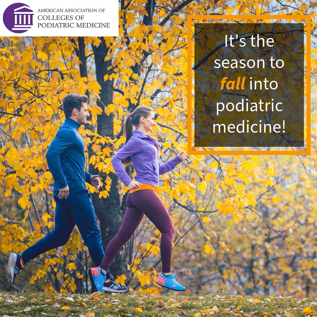 Explore Pod Med tweet media