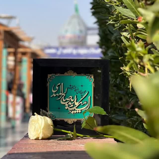 محبوب من ...!
شما تنها گلِ این عالمید ،
شما نباشید دنیا یک گلدانِ خالیست♥️
-ایهاالعزیز-
#فالوبک_تضمینی