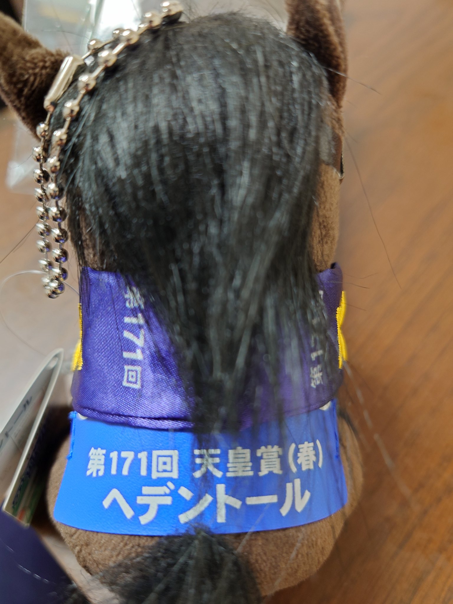 アイドルホース　へデントール　天皇賞春 アイドルホース へデントール 天皇賞春 アイドルホース へデントール