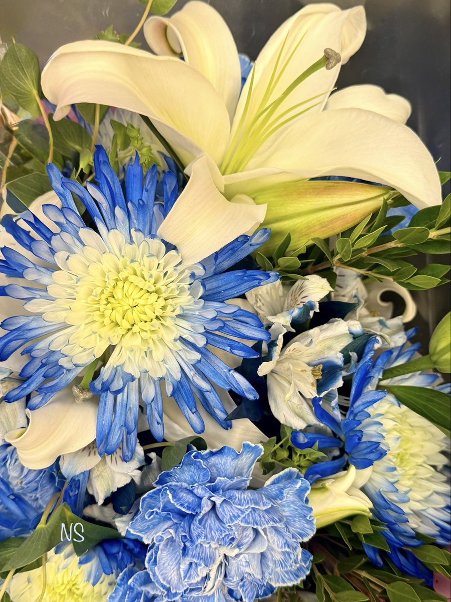 💃NS💃🇺🇸🕊 (@nsaidian) on Twitter photo It is a happiness to wonder; -- it is a happiness to dream💙🤍
~Edgar Allan Poe It is a happiness to wonder; -- it is a happiness to dream💙🤍
~Edgar Allan Poe