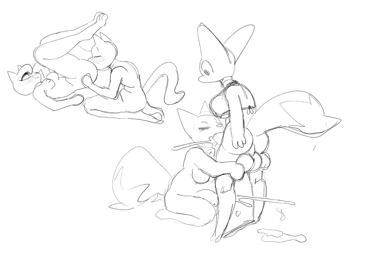 NOCI 🔞 tweet media